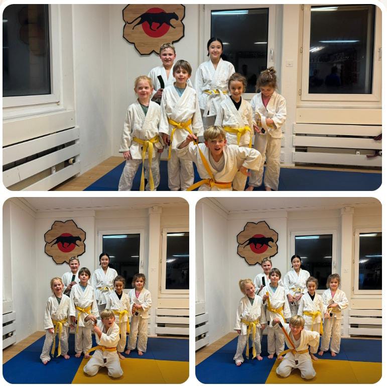 Erfolgreiche Gurtrpüfungen