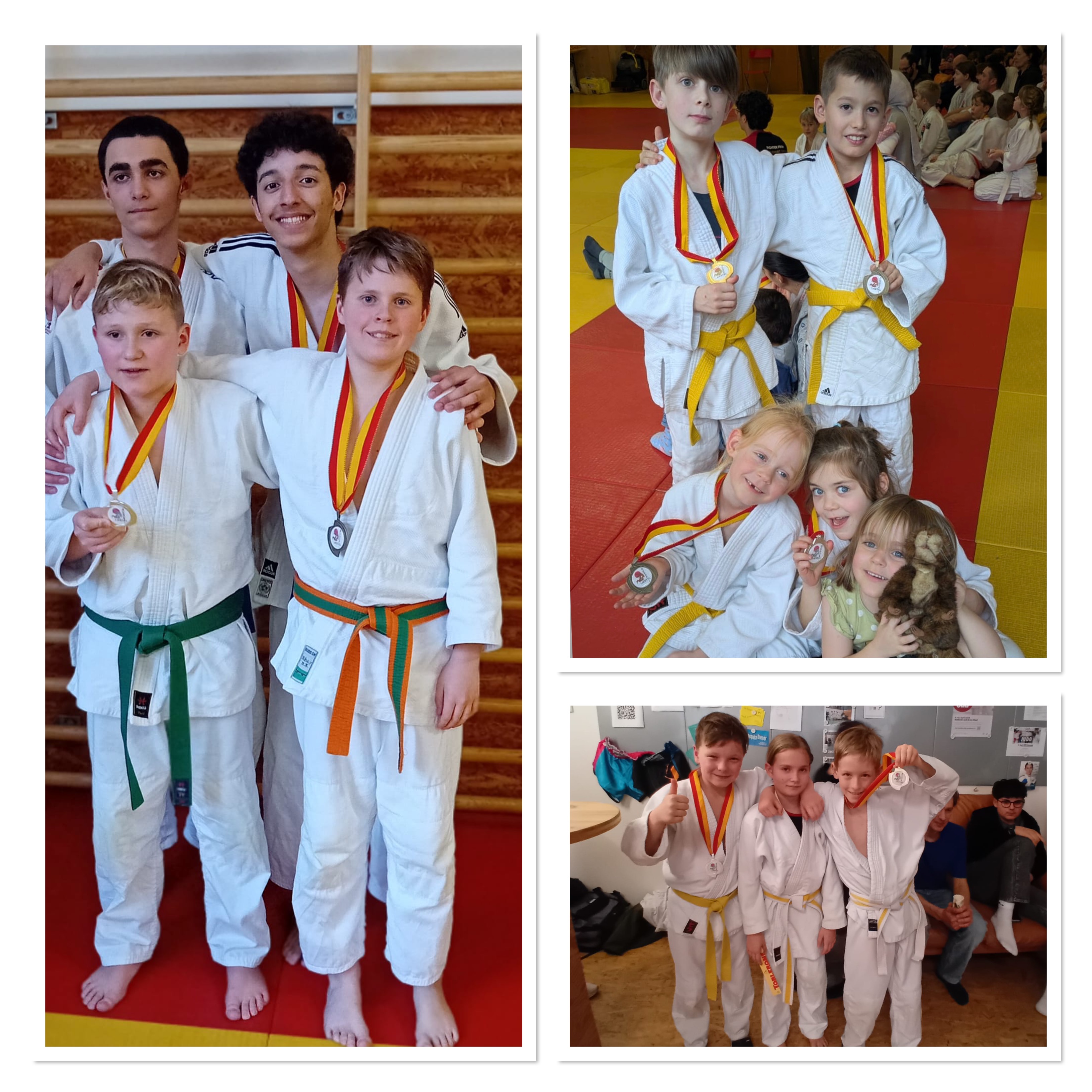 Turnier Budokai Liestal